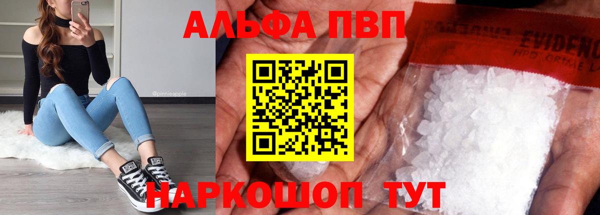 A PVP СК КРИС Прокопьевск