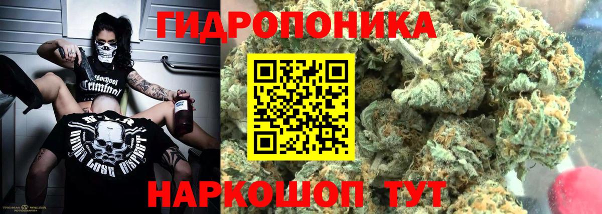 МАРИХУАНА MAZAR  Марихуана индика  Вход с VPN  Прокопьевск  Каннабис ГИДРОПОН 